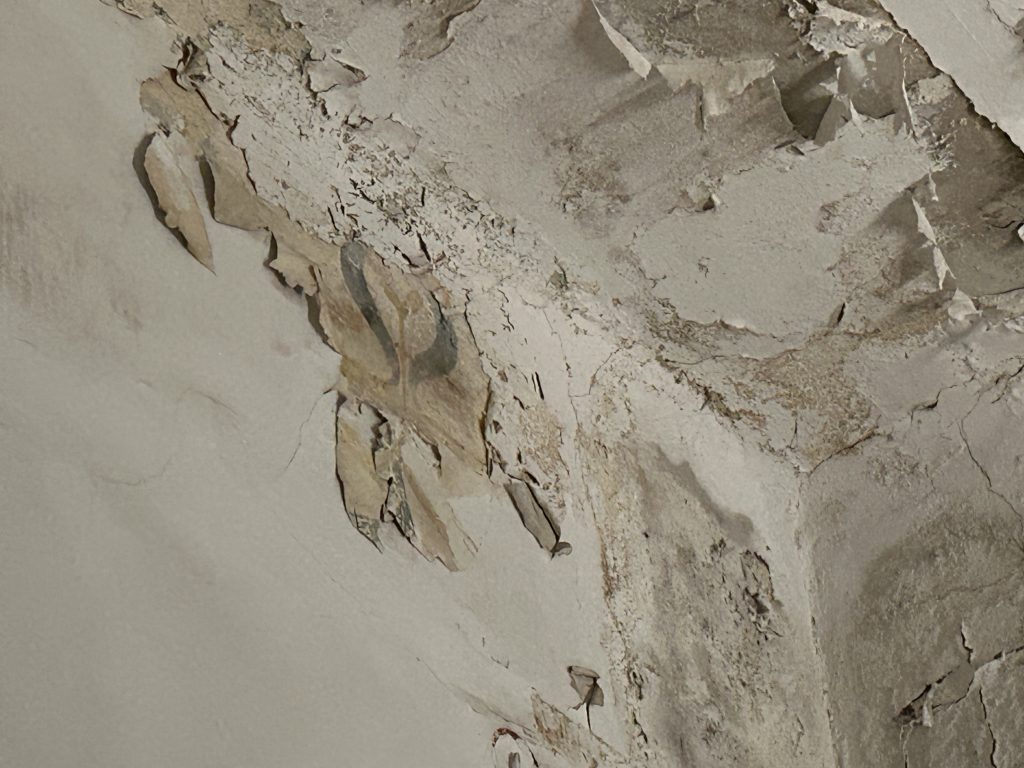 HeritEdge | Art Conservation & Restoration Services