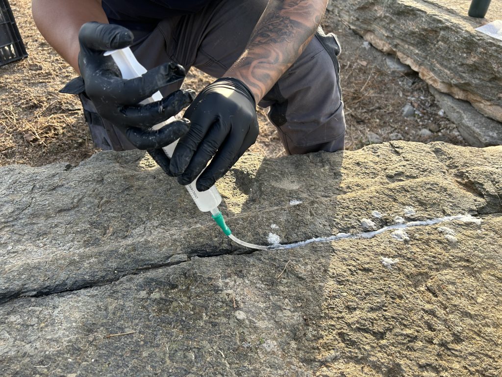 HeritEdge | Art Conservation & Restoration Services